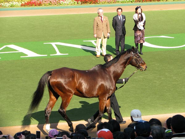 トークショーを行う井崎さん、岡部さん、鈴木淑子さん