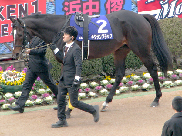 キタサンブラック