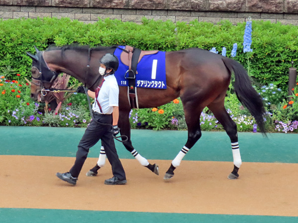 デアリングタクト