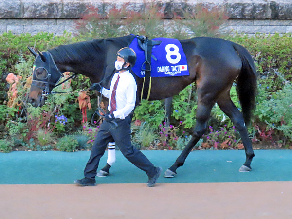 デアリングタクト