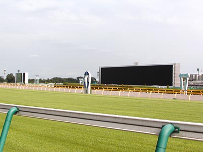 東京競馬場ターフビジョン