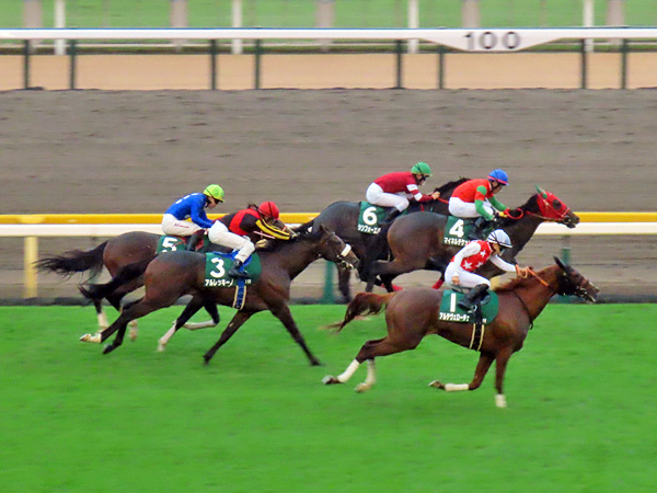 外から先頭に立つアルテヴェローチェ 2024年10月5日 東京競馬場