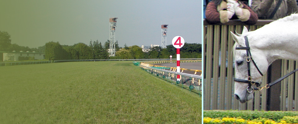 おさびし山ホースパーク~競馬の楽しみいろいろ