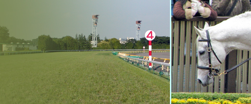 おさびし山ホースパーク～競馬の楽しみいろいろ